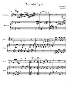 Marimba Night for Clarinet + Marimba
